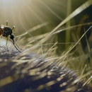 O'Malley's Pest Control Inc - Pest Control Equipment & Supplies