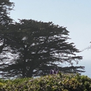 Sanderlings Restaurant - Seafood Restaurants