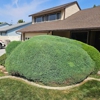 Atomic Lawn & Landscape gallery