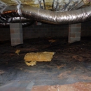 All Star Restoration - Mold Remediation