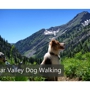 Star Valley Dog Walking