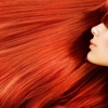 Tammy K Hair Salon gallery