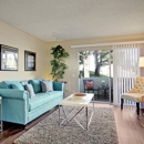 Hills of Diamond Bar - Real Estate Management