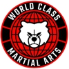 World Class Martial Arts gallery