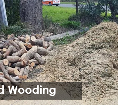 Global Arborist Australia - Port Melbourne, VIC. Dead Wooding