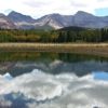 Alpine Fencing & Supplies Inc gallery