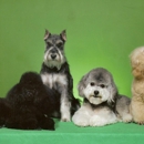 Doggie Depot - Pet Grooming