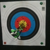 Texas Archery Academy gallery