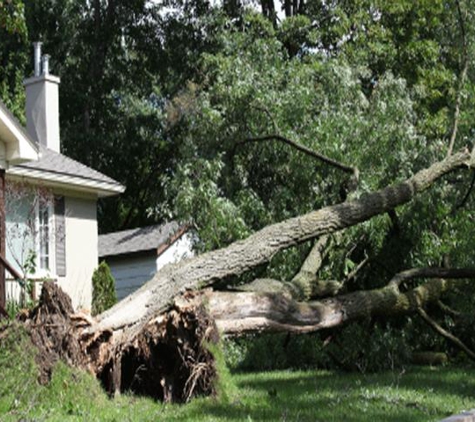 Down To Earth Tree Service - Crown Point, IN