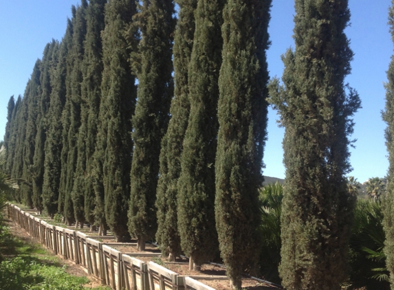 Moon Valley Nurseries - Riverside, CA