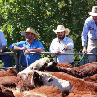 Monaro Livestock & Property Pty Ltd
