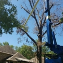 Mr. Green Jeans Tree Service - Tree Service Equipment & Supplies