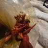 The Mighty Crab gallery