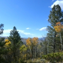 Arrowhead Ranch Real Estate