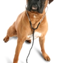 Milwaukee Animal Hospital - Veterinarians