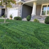 Simply Green Lawn & Tree Care gallery