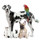 Abbott Animal Clinic - Veterinarians