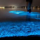 Florida Adventurer: Bioluminescent Kayaking Cocoa Beach - Boat Tours