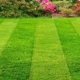 Pell city lawn care and landscaping