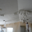 Sparkle Ceilings - Ceilings-Supplies, Repair & Installation