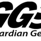 Storm Guardian Generators