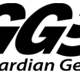 Storm Guardian Generators