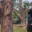 Full Tree Services - Tree Service