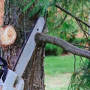 Amazing Tree Services - Tree Service