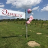 Daniel's Vineyard gallery