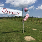 Daniel's Vineyard
