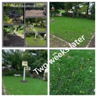 M. Rivera Landscaping and Lawn Care