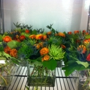 Texas Blooms and Gifts - Plants