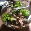 Roosevelt's Terrariums gallery