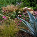 Bare Roots Gardening