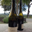 Copain Wines - Wineries