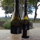 Copain Wine Cellars - Wineries