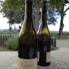 Copain Wines