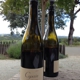Copain Wine Cellars