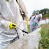 Pied Piper Pest Control gallery