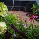 Bare Roots Gardening - Landscape Designers & Consultants