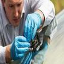 Low Price Auto Glass - Windows-Repair, Replacement & Installation