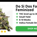 Kind Seed Co - Gift Shops