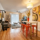 Element Austin Apartments