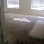 Carpet & Upholstery Cleaning Services