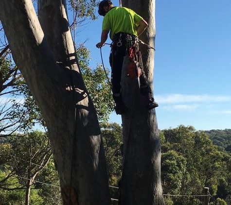 Horizon Total Tree Service - Tomakin, NSW
