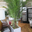 Foxy Rug & Furniture Galleria