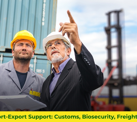 Lighthouse Agencies Pty Ltd. - Killarney Vale, NSW. Full Import‑Export Support: Customs, Biosecurity, Freight, Permits