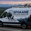Spokane Wildlife Removal gallery