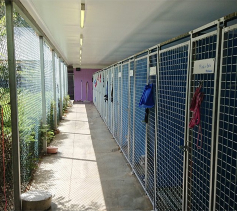 Longford Park Boarding Kennels - Longford, TAS. Longford Park Kennels & Cattery - Cattering