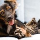 Rathdrum Animal Clinic - Veterinary Clinics & Hospitals